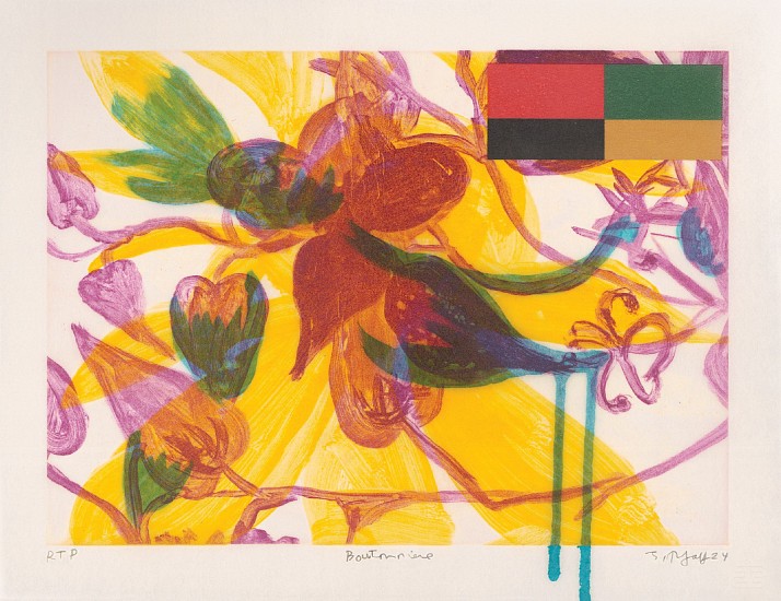 JUDY PFAFF, BOUTONNIERE 8 5/12
intaglio, shellac, acrylic paint and archival inkjet on Kozo paper