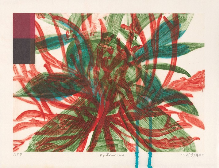 JUDY PFAFF, BOUTONNIERE 9 5/12
intaglio, shellac, acrylic paint and archival inkjet on Kozo paper