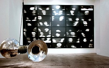 Ann Hamilton 10 2008 edit