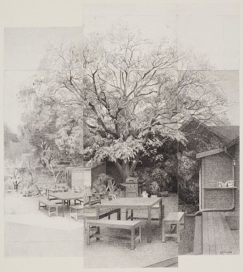 ZOEY FRANK, WALNUT TREE
Graphite on Paper