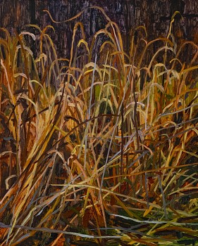 sherman grass a dsc0956