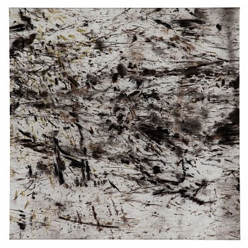 wiersma erin transect 2022 105 hqc shw alluvial plain ii 2022 char and chorophll on paper 26in x 26in