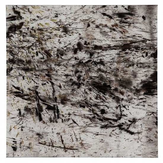 ERIN WIERSMA, TRANSECT 2022 105 HQC (ShW, Alluvial Plain II)
char and chlorophyll on paper