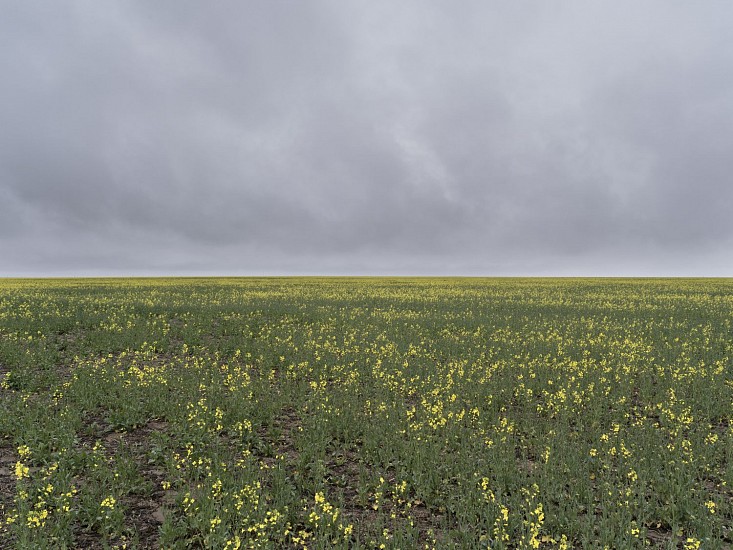 KEVIN O'CONNELL, MEMORIES OF WATER"" UNTITLED 3029  Ed. 3<br />
archival pigment print mounted on Dibond