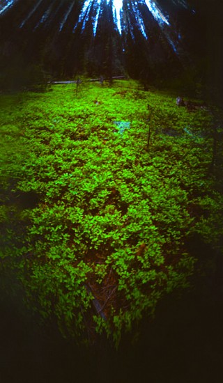 DAVID SHARPE, MEDITATIONS XXVII
archival digital inkjet printpinhole photograph