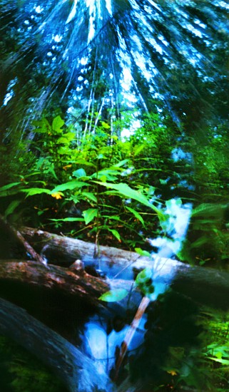 DAVID SHARPE, MEDITATIONS XIX
archival digital inkjet printpinhole photograph