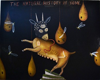 natural history of home