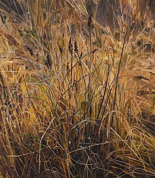 21LG01.GrassandWildflowers.48x42 small