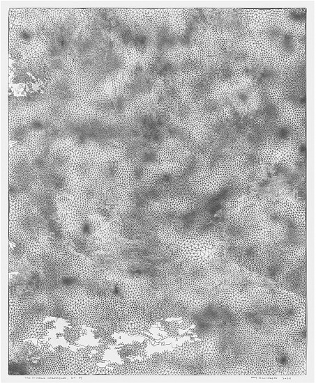 AMY ELLINGSON, THE MINERVA CHRONICLES, NO. 34
graphite on Yupo