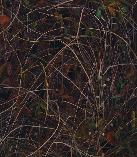 CLAIRE SHERMAN, GRASS AND LEAVES
oil on canvas