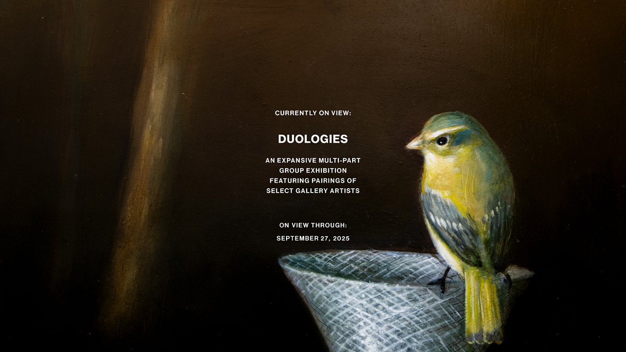 DUOLOGIES 2025 sliders [Recovered]