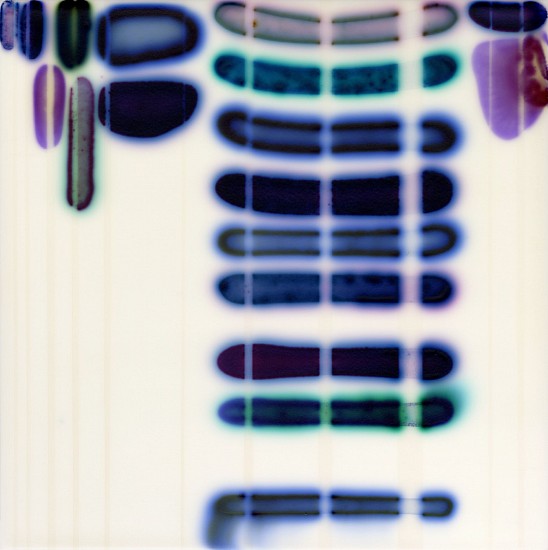 JAQ CHARTIER, PURPLE STUDY
acrylic, ink, dyes, stains and spray paint on wood panel