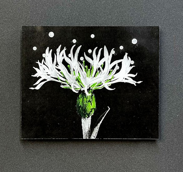 STACEY STEERS, The Stars Watch From Long Ago
archival pigment print